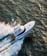 img/SB8hi-res/Shark Byte-11.jpg